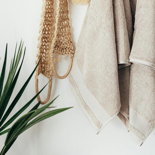 towels hanging on a wall near a plant